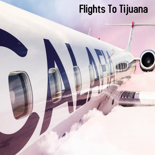 Flights From Puerto Peñasco Rocky Point Adventures